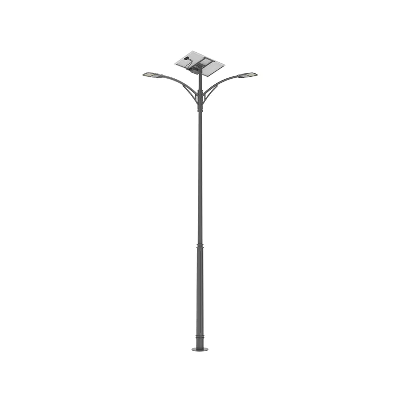 Solaris via lux systematis velit