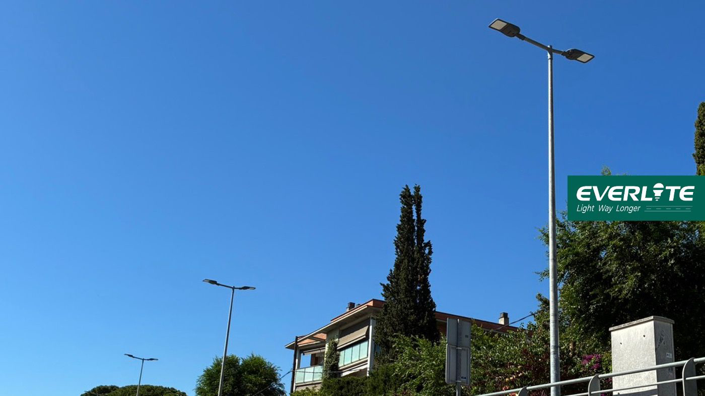 Omnis Street tenet nostrum superbia